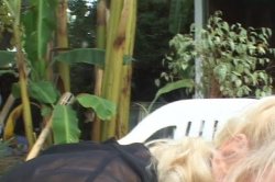 'Mature Kink 16' screenshot nº 69