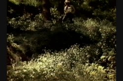Captura de 'Best of John Holmes 3, The' nº 31