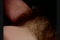 Captura de 'Best of John Holmes 3, The' nº 103