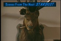 'Stardust 2' screenshot nº 135
