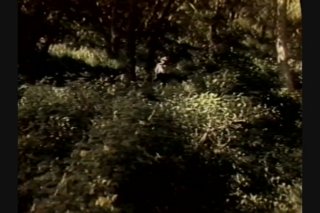 Scene 2