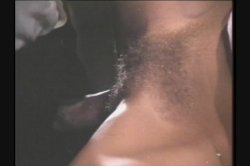 'Best of VCX Trailers, The' screenshot nº 63