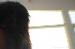 'Phatty Girls 7' screenshot nº 9