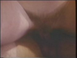 Captura de 'Seductive Sluts Of Classic Porn' nº 117