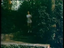 Captura de 'Cecil Howard's Neon Nights (Softcore)' nº 32