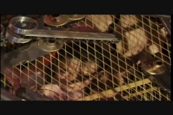 Captura de 'Puritan Video Magazine 18' nº 67