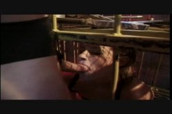 Captura de 'Puritan Video Magazine 18' nº 70