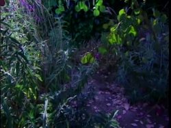 Captura de 'Amazon Heat 2' nº 41