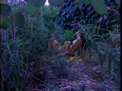 Captura de 'Amazon Heat 2' nº 67