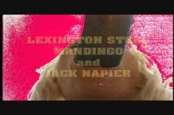 'Chasing the Big Ones 2' screenshot nº 2