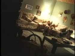 'Superstars Of Porn Volume 11' screenshot nº 84