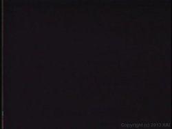'Best Orgasms On The Planet' screenshot nº 24