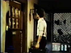 Captura de 'Peepshow Loops 90: '70s & '80s (Color)' nº 28