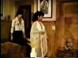 Captura de 'Peepshow Loops 90: '70s & '80s (Color)' nº 30