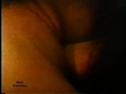 Captura de 'Peepshow Loops 90: '70s & '80s (Color)' nº 74