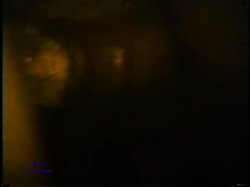 Captura de 'Peepshow Loops 90: '70s & '80s (Color)' nº 102