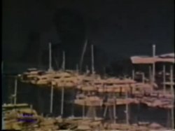 Captura de 'Peepshow Loops 90: '70s & '80s (Color)' nº 1
