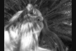 'Tinker With My Stinker' screenshot nº 31