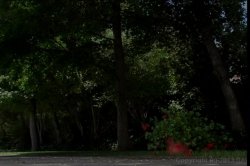 'Lil' Red Riding Slut' screenshot nº 2