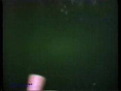 'Peepshow Loops 58: '70s & '80s (Color)' screenshot nº 31