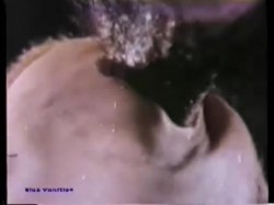 'Peepshow Loops 58: '70s & '80s (Color)' screenshot nº 64