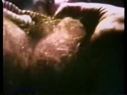 'Peepshow Loops 58: '70s & '80s (Color)' screenshot nº 103