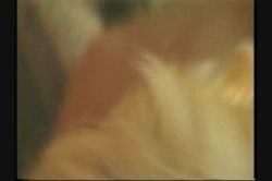 Captura de 'Nasty Filthy Cab Rides 2' nº 43