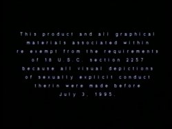 Captura de 'Peepshow Loops 72: 70s & 80s (Color)' nº 1
