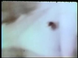 Captura de 'Peepshow Loops 72: 70s & 80s (Color)' nº 139