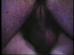'Peepshow Loops 56: 70s & 80s (Color)' screenshot nº 35