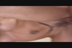 'Bush Whacked Border Crack' screenshot nº 50