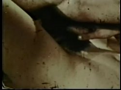 Captura de 'Peepshow Loops 87 - 70's & 80's Color' nº 33