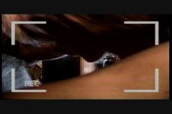 'Puritan Video Magazine 12' screenshot nº 82