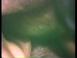 Captura de 'Peepshow Loops 71: 70s & 80s Color' nº 30
