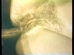 Captura de 'Peepshow Loops 71: 70s & 80s Color' nº 49