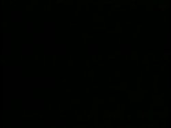 Captura de 'Peepshow Loops 71: 70s & 80s Color' nº 51