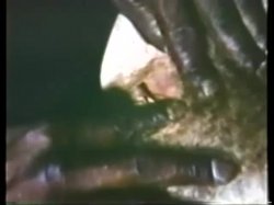 Captura de 'Peepshow Loops 71: 70s & 80s Color' nº 64