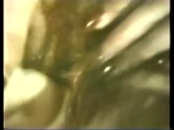 Captura de 'Peepshow Loops 71: 70s & 80s Color' nº 76