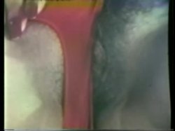 Captura de 'Peepshow Loops 71: 70s & 80s Color' nº 132