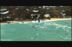 Captura de 'Surfer Girls' nº 80