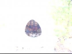 'Goo Girls 24' screenshot nº 79