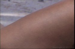 Captura de 'Midget Mania' nº 63