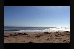 'Organic Melons POV 2' screenshot nº 39