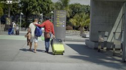 'Cock Stakeout #6' screenshot nº 11