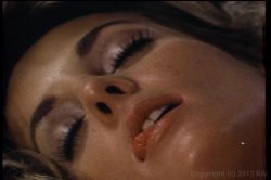 'Best of John Holmes Vol. 1, The' screenshot nº 62