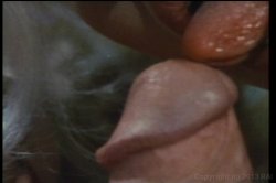 'Best of John Holmes Vol. 1, The' screenshot nº 100