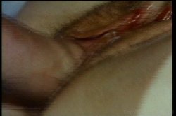 'Best of John Holmes Vol. 1, The' screenshot nº 15