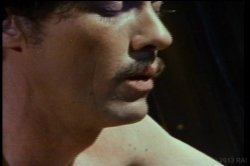 'Best of John Holmes Vol. 1, The' screenshot nº 21