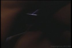 'Best of John Holmes Vol. 1, The' screenshot nº 41