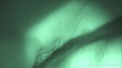'Tarra's Sex Tape' screenshot nº 97
